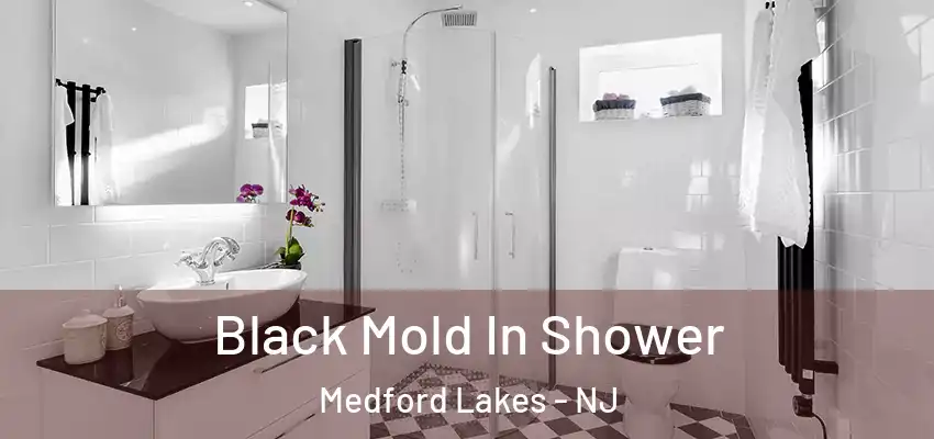 Black Mold In Shower Medford Lakes - NJ