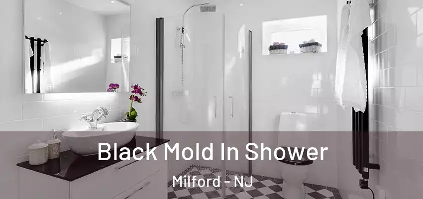  Black Mold In Shower Milford - NJ