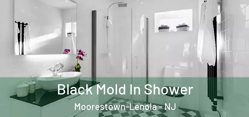 Black Mold In Shower Moorestown-Lenola - NJ