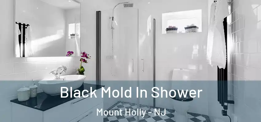 Black Mold In Shower Mount Holly - NJ