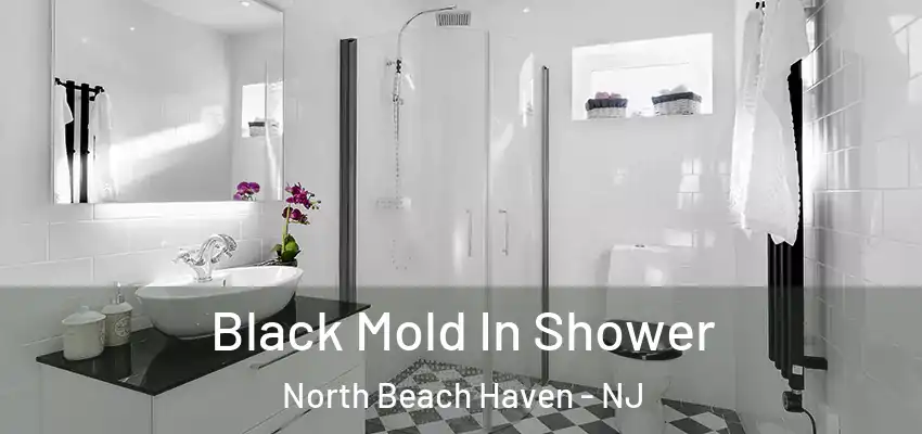 Black Mold In Shower North Beach Haven - NJ