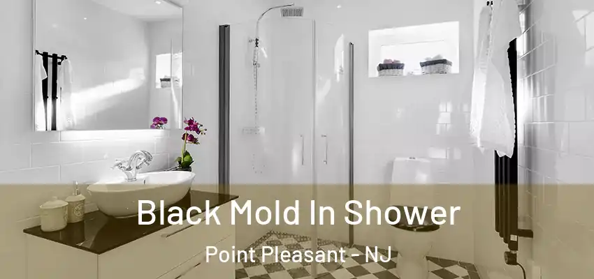 Black Mold In Shower Point Pleasant - NJ