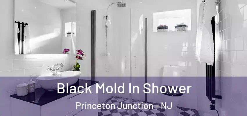 Black Mold In Shower Princeton Junction - NJ