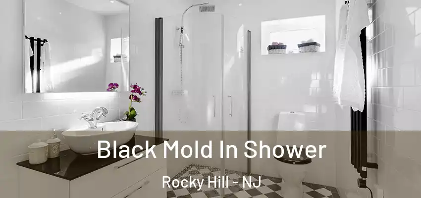  Black Mold In Shower Rocky Hill - NJ