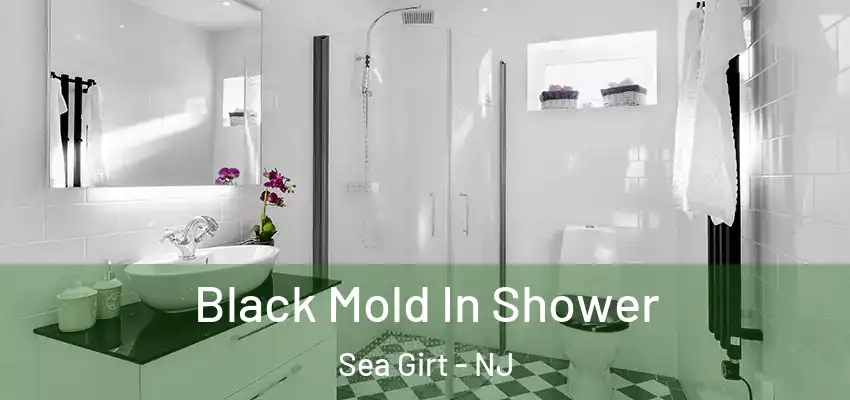 Black Mold In Shower Sea Girt - NJ