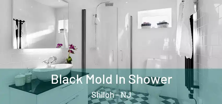  Black Mold In Shower Shiloh - NJ