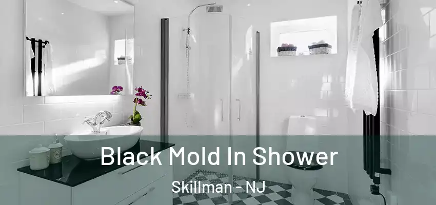 Black Mold In Shower Skillman - NJ