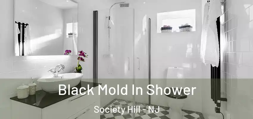 Black Mold In Shower Society Hill - NJ