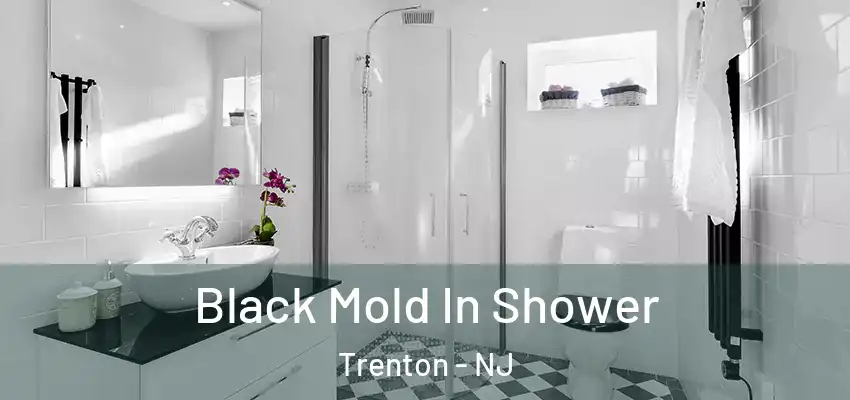  Black Mold In Shower Trenton - NJ