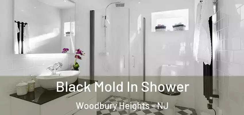  Black Mold In Shower Woodbury Heights - NJ