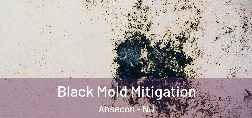 Black Mold Mitigation Absecon - NJ