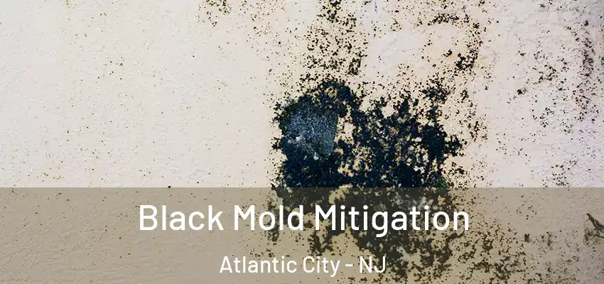 Black Mold Mitigation Atlantic City - NJ