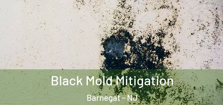  Black Mold Mitigation Barnegat - NJ
