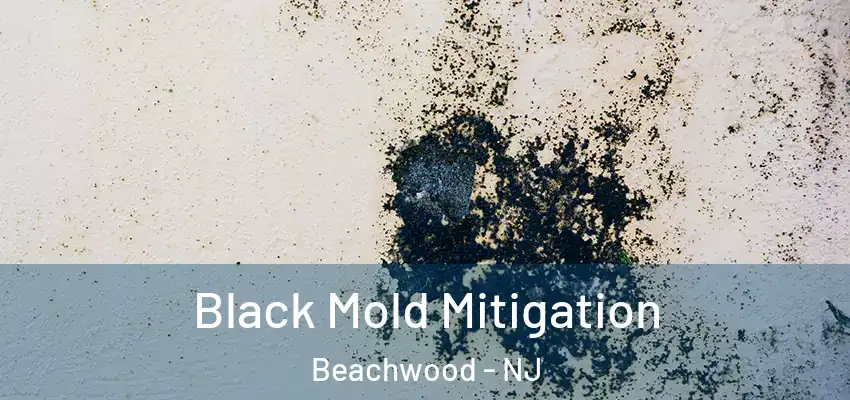  Black Mold Mitigation Beachwood - NJ