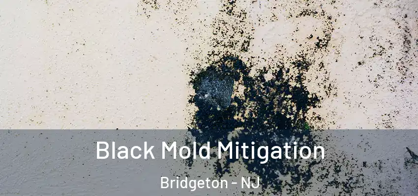  Black Mold Mitigation Bridgeton - NJ