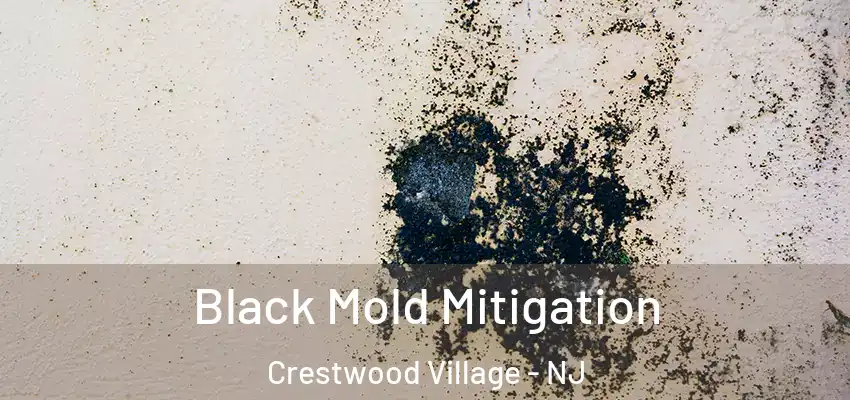  Black Mold Mitigation Crestwood Village - NJ