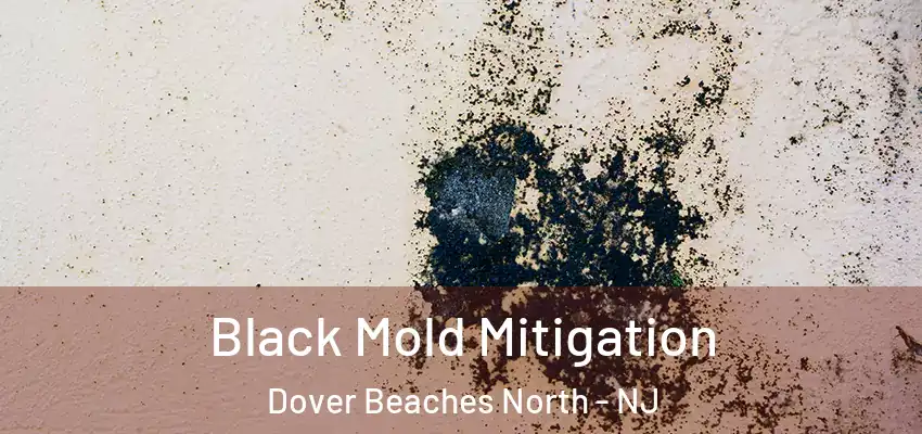  Black Mold Mitigation Dover Beaches North - NJ