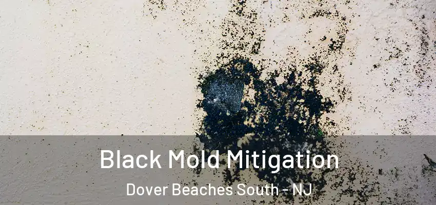 Black Mold Mitigation Dover Beaches South - NJ
