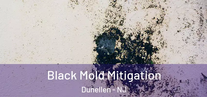  Black Mold Mitigation Dunellen - NJ