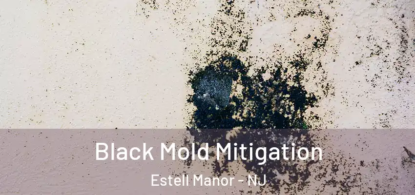 Black Mold Mitigation Estell Manor - NJ