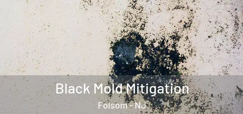 Black Mold Mitigation Folsom - NJ