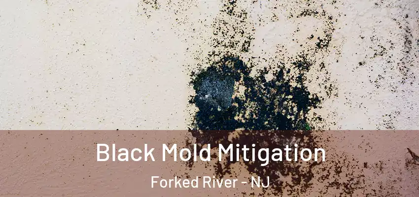  Black Mold Mitigation Forked River - NJ