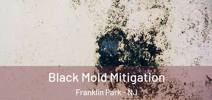  Black Mold Mitigation Franklin Park - NJ