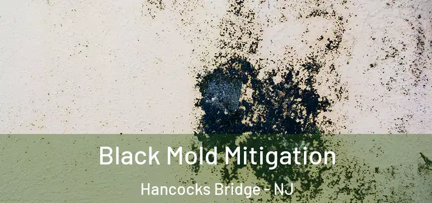  Black Mold Mitigation Hancocks Bridge - NJ