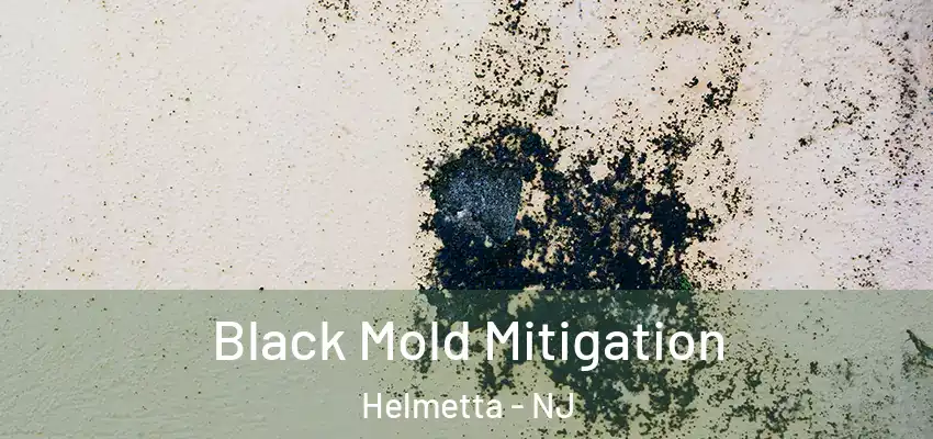  Black Mold Mitigation Helmetta - NJ