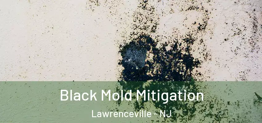 Black Mold Mitigation Lawrenceville - NJ