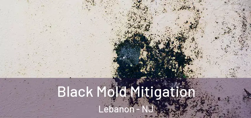 Black Mold Mitigation Lebanon - NJ