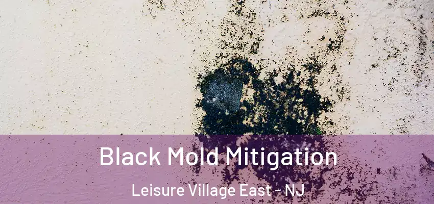 Black Mold Mitigation Leisure Village East - NJ