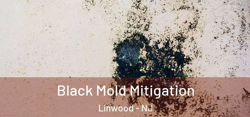 Black Mold Mitigation Linwood - NJ