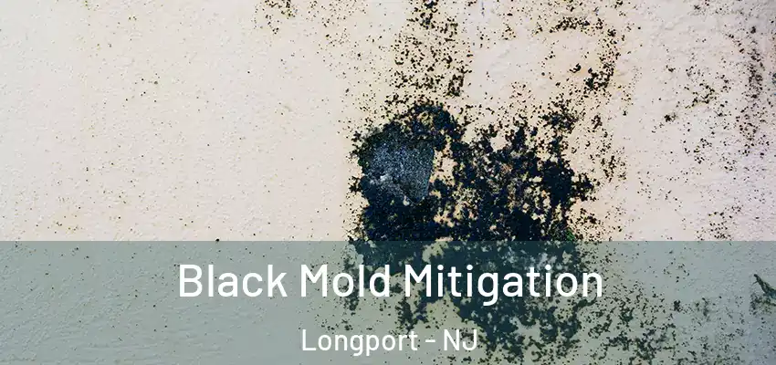  Black Mold Mitigation Longport - NJ