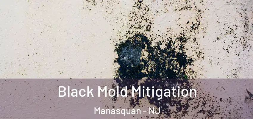 Black Mold Mitigation Manasquan - NJ