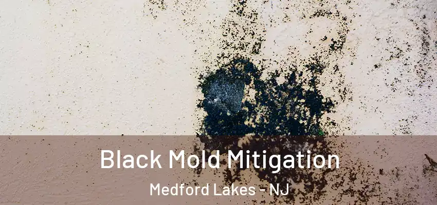  Black Mold Mitigation Medford Lakes - NJ