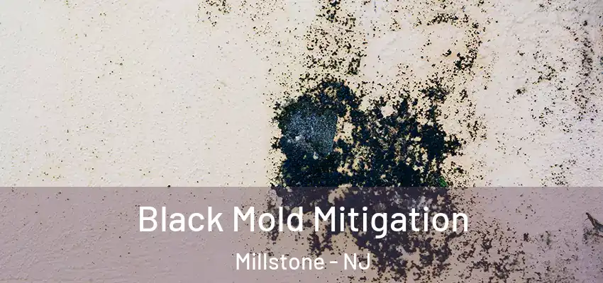  Black Mold Mitigation Millstone - NJ