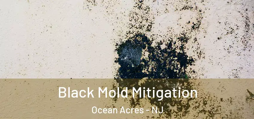  Black Mold Mitigation Ocean Acres - NJ