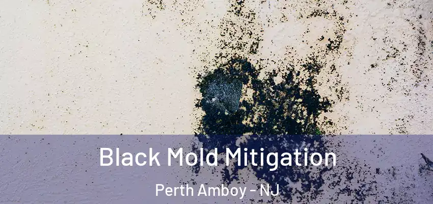  Black Mold Mitigation Perth Amboy - NJ