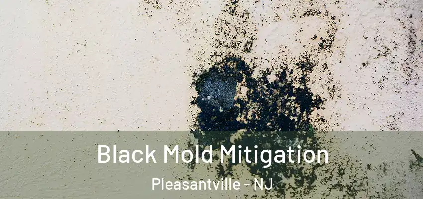 Black Mold Mitigation Pleasantville - NJ