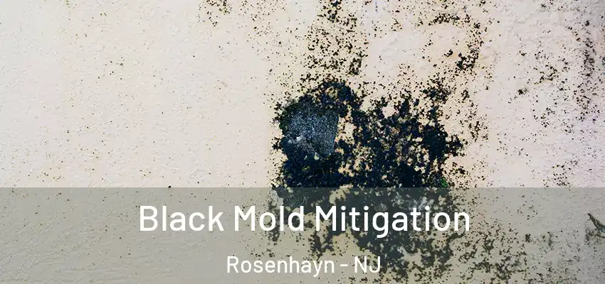Black Mold Mitigation Rosenhayn - NJ