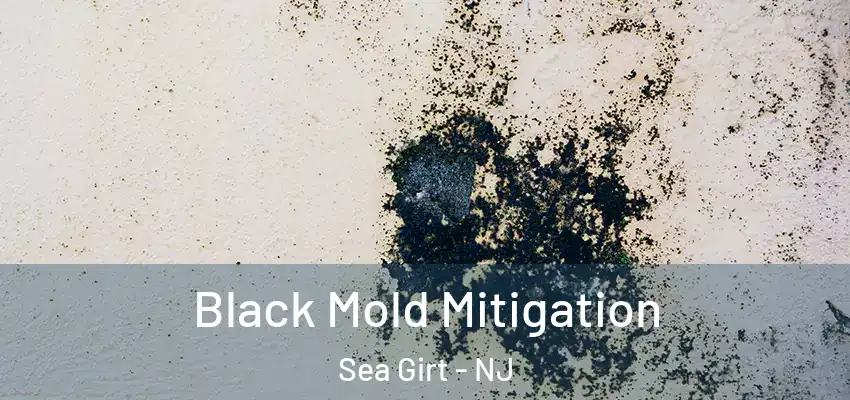 Black Mold Mitigation Sea Girt - NJ