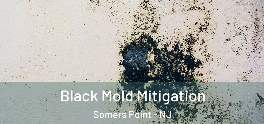 Black Mold Mitigation Somers Point - NJ