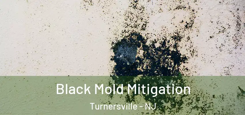 Black Mold Mitigation Turnersville - NJ