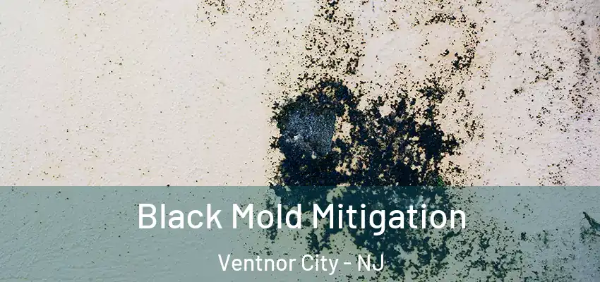 Black Mold Mitigation Ventnor City - NJ