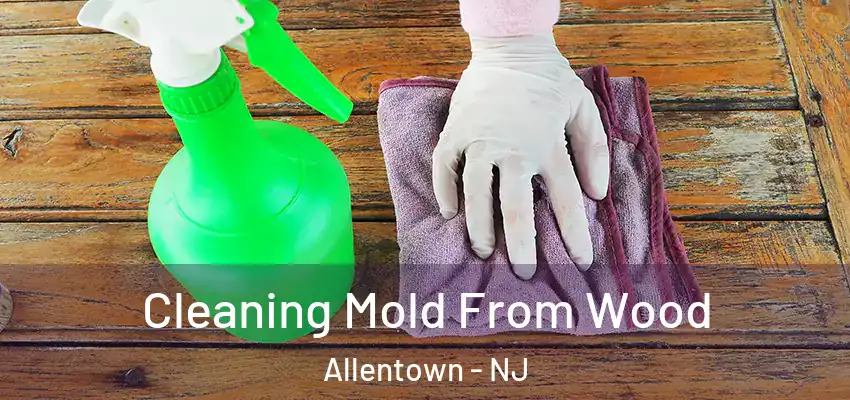  Cleaning Mold From Wood Allentown - NJ