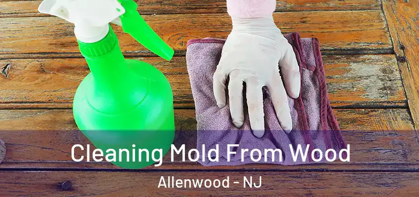  Cleaning Mold From Wood Allenwood - NJ