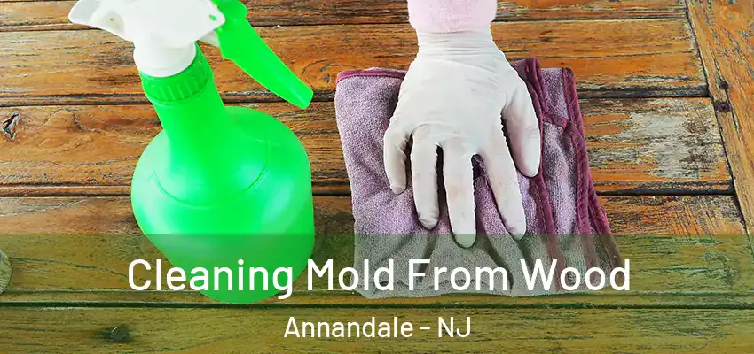  Cleaning Mold From Wood Annandale - NJ