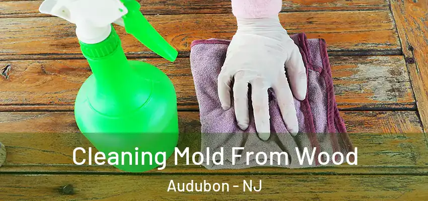 Cleaning Mold From Wood Audubon - NJ