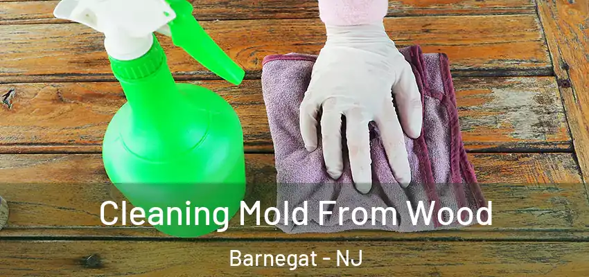  Cleaning Mold From Wood Barnegat - NJ